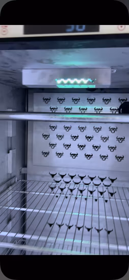 Maturing Fridges Energy Saving Beef Steak Beef Dry Aging Beef Meat Cabinet Aging Refrigerator